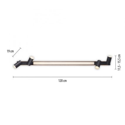Paul Neuhaus 6121-79 - LED pritemdomas akcentinis apšvietimas PURE 4xLED/4W/230V + LED/9W 2700-5000K + nuotolinio valdymo pultas