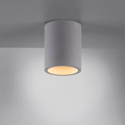 Paul Neuhaus 6160-22 - Akcentinis apšvietimas ETON 1xGU10/10W/230V betonas