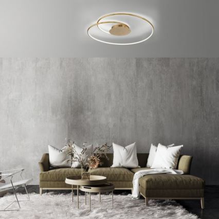 Paul Neuhaus 6189-12 - LED Pritemdomas lubinis šviestuvas NASTRO LED/26W/230V