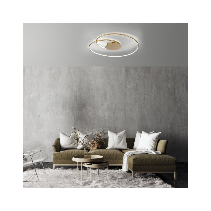 Paul Neuhaus 6189-12 - LED Pritemdomas lubinis šviestuvas NASTRO LED/26W/230V