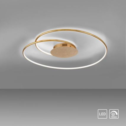 Paul Neuhaus 6189-12 - LED Pritemdomas lubinis šviestuvas NASTRO LED/26W/230V
