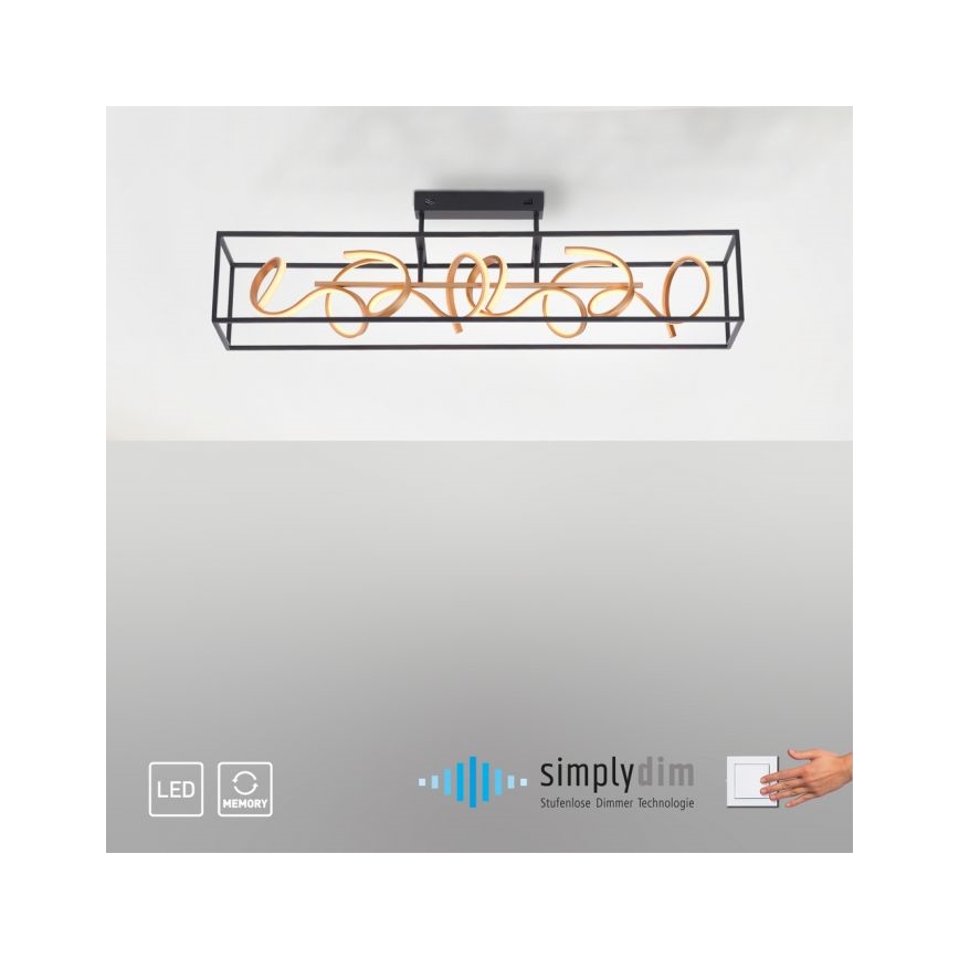 Paul Neuhaus 6473-18 - LED pritemdantis šviestuvas SELINA 4xLED / 10,2W / 230V