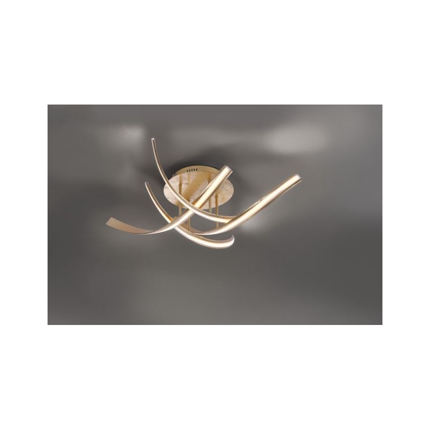 Paul Neuhaus 6474-12 - LED Pritemdomas tvirtinamas sietynas LINDA 4xLED/7W/230V