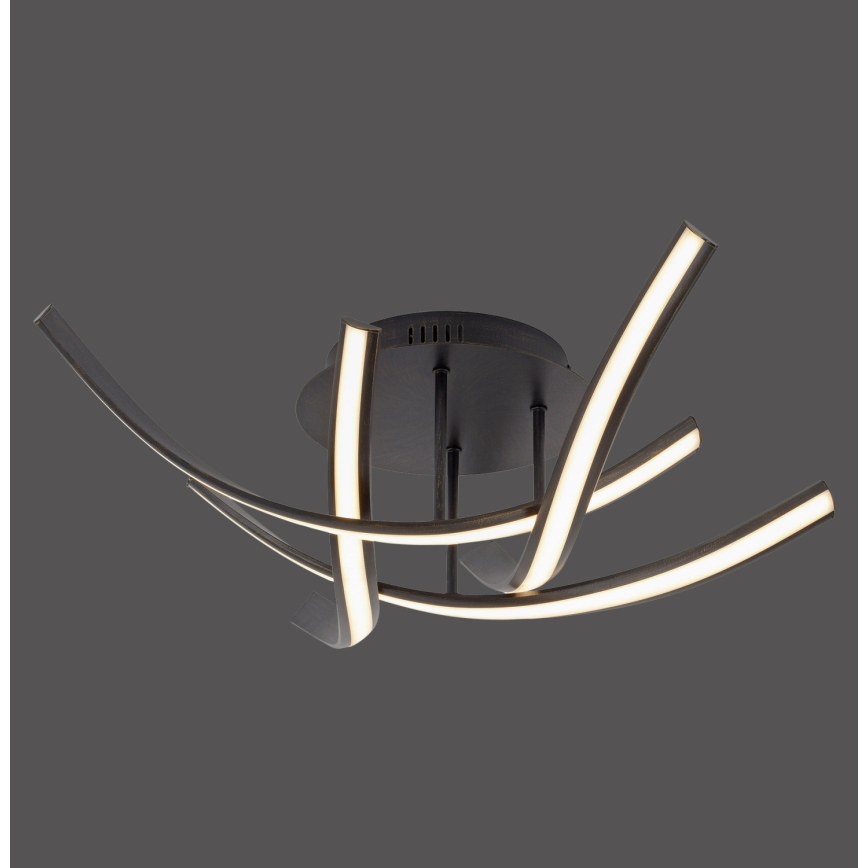 Paul Neuhaus 6474-48 - LED Pritemdomas tvirtinamas sietynas LINDA 4xLED/7W/230V