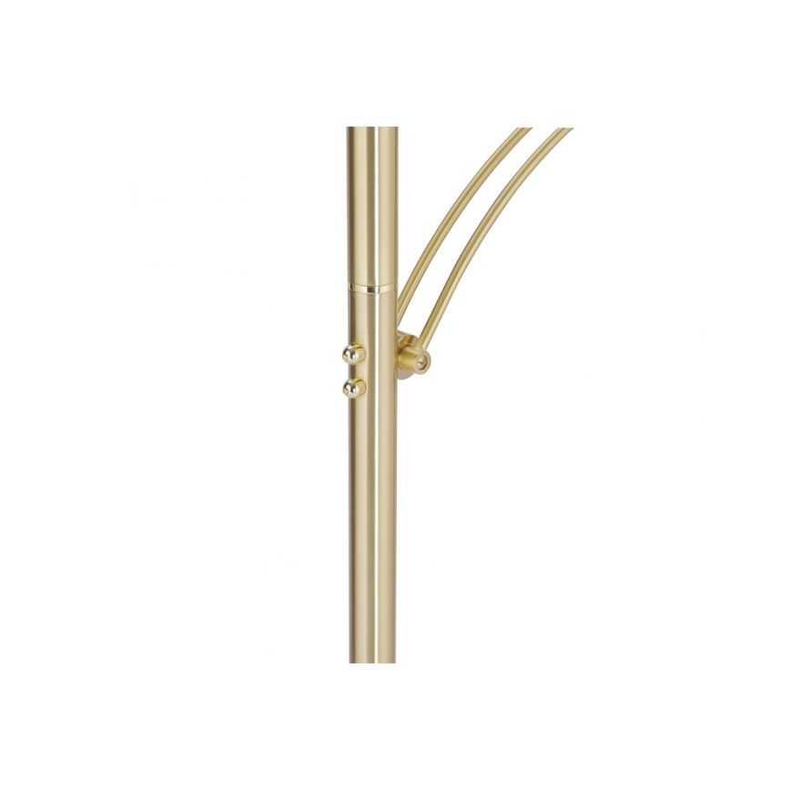 Paul Neuhaus 673-60 - LED dimeriuojama grindinė lempa ARTUR 2xLED/21W/230V+LED/6W auksinė