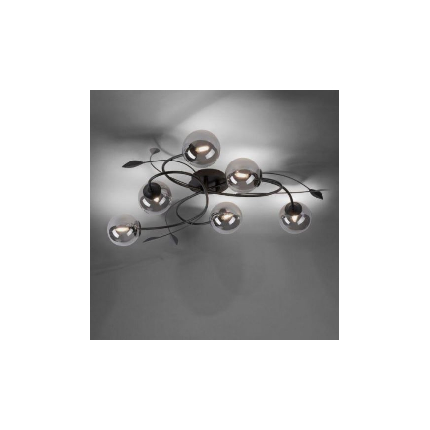 Paul Neuhaus 6737-18 - LED Ant pagrindo montuojamas sietynas WIDOW 6xG9/3W/230V
