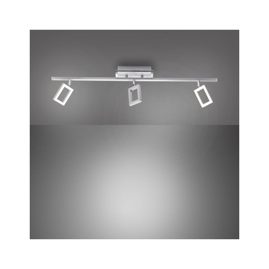 Paul Neuhaus 6959-55 - LED Akcentinis šviestuvas INIGO 3xLED/4,2W/230V