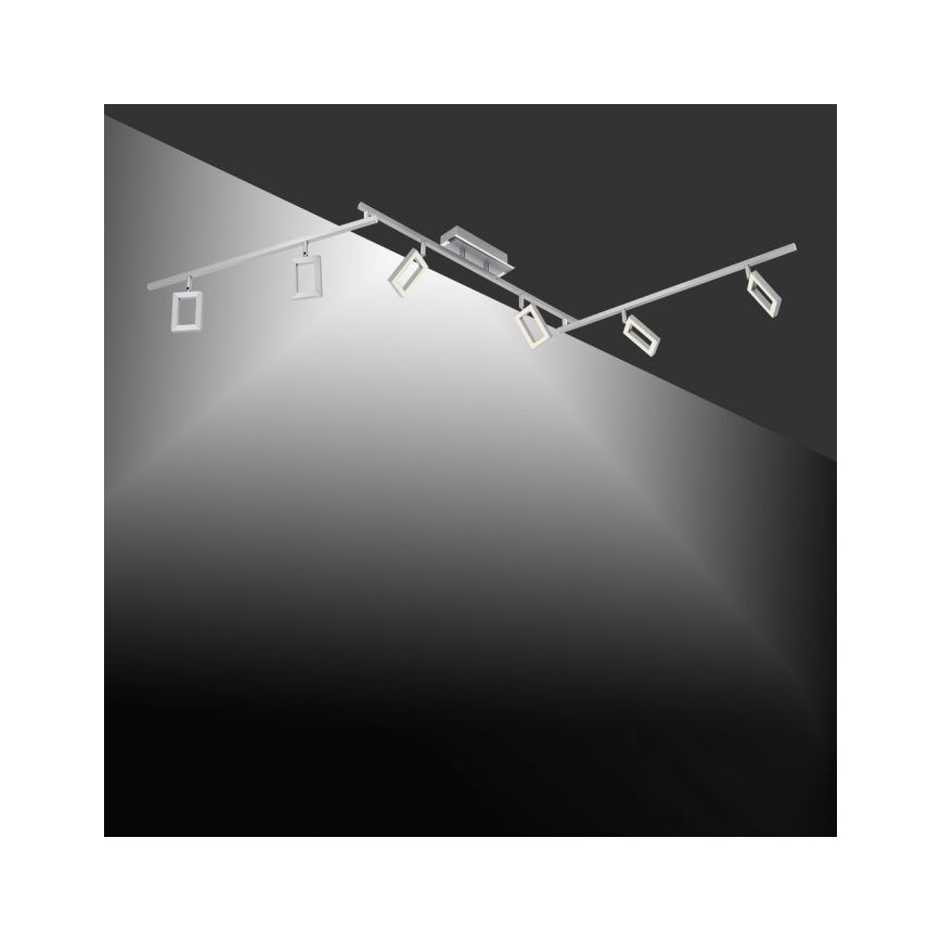 Paul Neuhaus 6965-55 - LED Reguliuojamas akcentinis šviestuvas INIGO 6xLED/4W/230V
