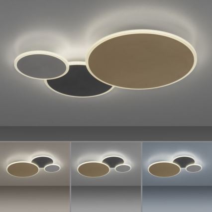 Paul Neuhaus 8007-70 - LED reguliuojamas lubų šviestuvas Q-PIATO LED/35W/230V 2700-5000K Wi-Fi + nuotolinis valdymas
