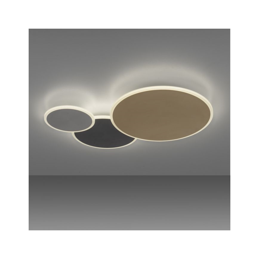 Paul Neuhaus 8007-70 - LED Pritemdomas lubinis šviestuvas Q-PIATO LED/35W/230V 2700-5000K Wi-Fi + nuotolinio valdymo pultas