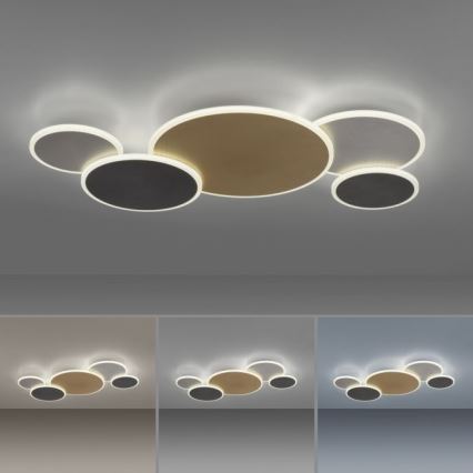 Paul Neuhaus 8008-70 - LED Pritemdomas lubinis šviestuvas Q-PIATO LED/49W/230V 2700-5000K Wi-Fi + nuotolinio valdymo pultas