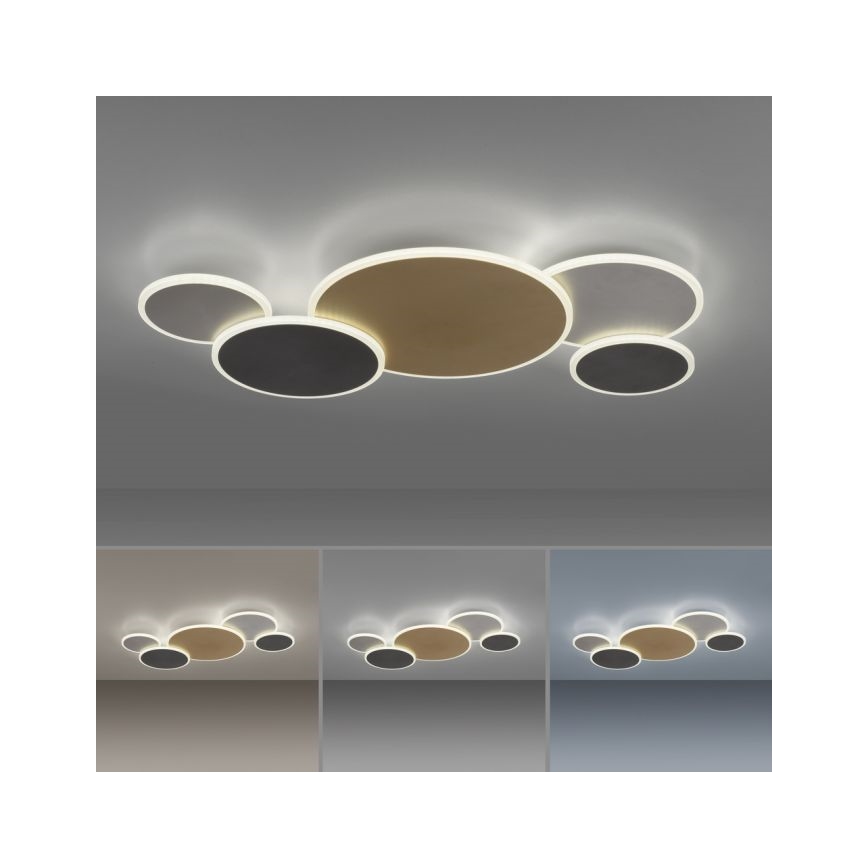 Paul Neuhaus 8008-70 - LED Pritemdomas lubinis šviestuvas Q-PIATO LED/49W/230V 2700-5000K Wi-Fi + nuotolinio valdymo pultas