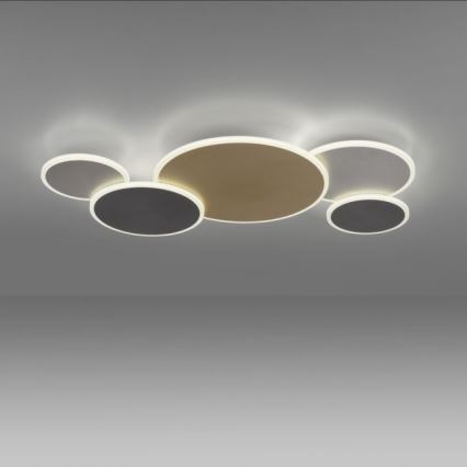Paul Neuhaus 8008-70 - LED Pritemdomas lubinis šviestuvas Q-PIATO LED/49W/230V 2700-5000K Wi-Fi + nuotolinio valdymo pultas