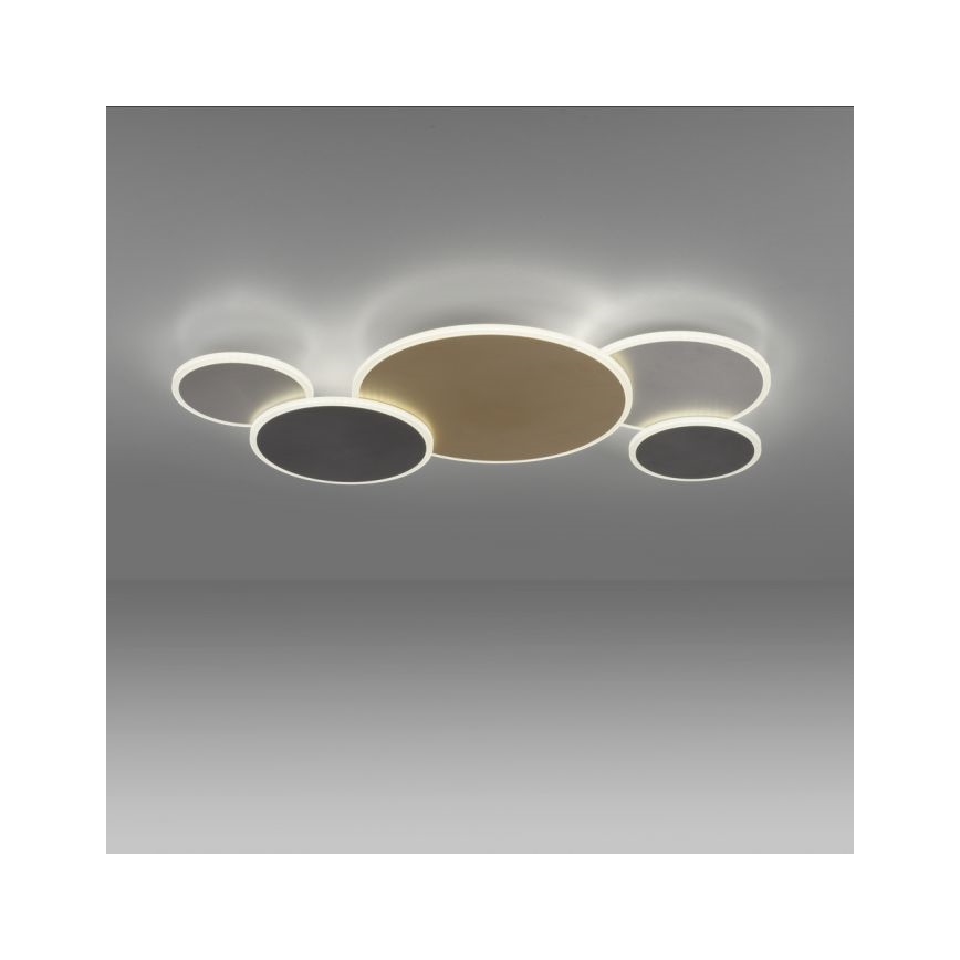 Paul Neuhaus 8008-70 - LED Pritemdomas lubinis šviestuvas Q-PIATO LED/49W/230V 2700-5000K Wi-Fi + nuotolinio valdymo pultas