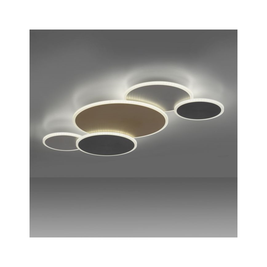 Paul Neuhaus 8008-70 - LED Pritemdomas lubinis šviestuvas Q-PIATO LED/49W/230V 2700-5000K Wi-Fi + nuotolinio valdymo pultas