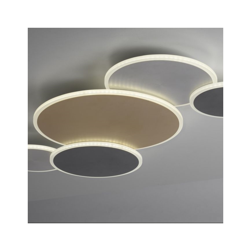 Paul Neuhaus 8008-70 - LED Pritemdomas lubinis šviestuvas Q-PIATO LED/49W/230V 2700-5000K Wi-Fi + nuotolinio valdymo pultas