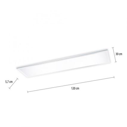 Paul Neuhaus 8112-17 - LED Reguliuojama ant pagrindo montuojama panelė FLAG LED/35W/230V