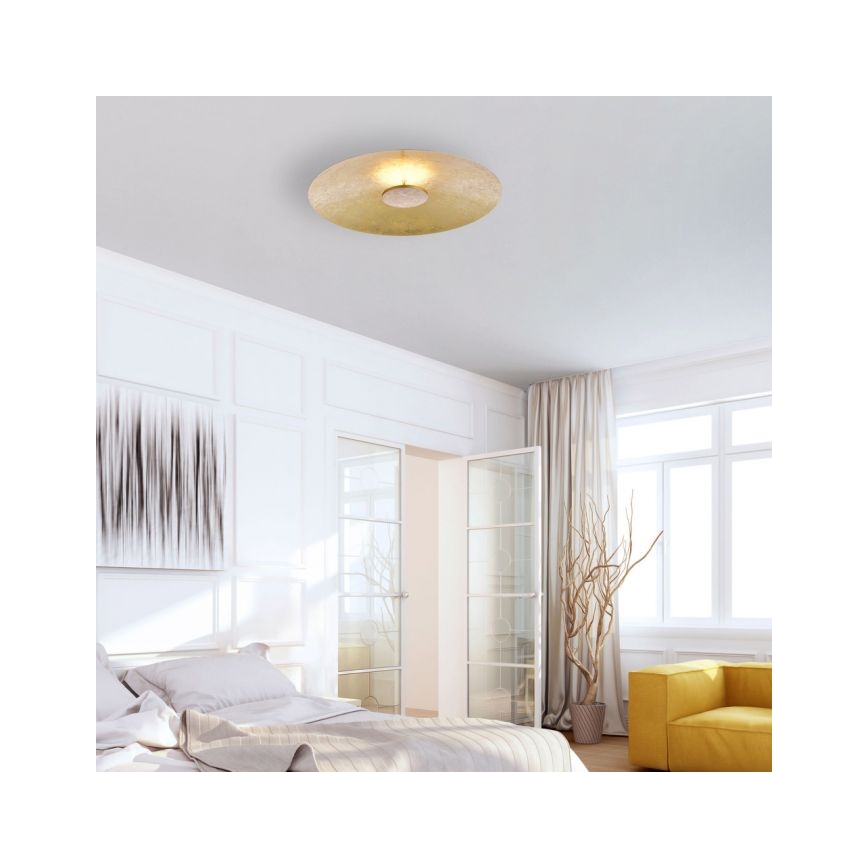 Paul Neuhaus 8132-12 - LED Reguliuojamas lubinis šviestuvas PLATE LED/25W/230V