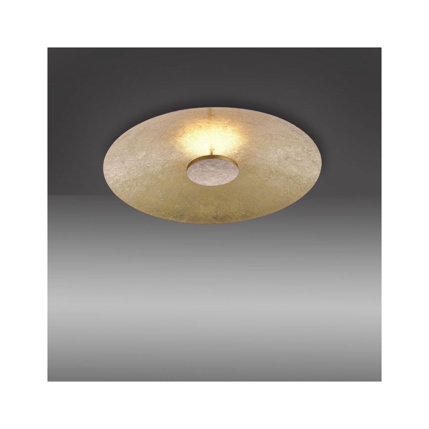 Paul Neuhaus 8132-12 - LED Reguliuojamas lubinis šviestuvas PLATE LED/25W/230V