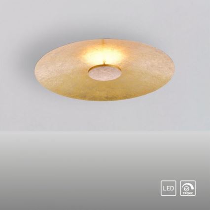 Paul Neuhaus 8132-12 - LED Reguliuojamas lubinis šviestuvas PLATE LED/25W/230V