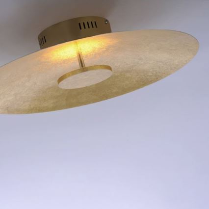 Paul Neuhaus 8132-12 - LED Reguliuojamas lubinis šviestuvas PLATE LED/25W/230V
