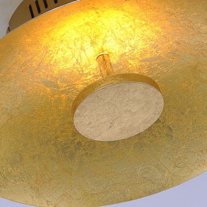 Paul Neuhaus 8132-12 - LED Reguliuojamas lubinis šviestuvas PLATE LED/25W/230V