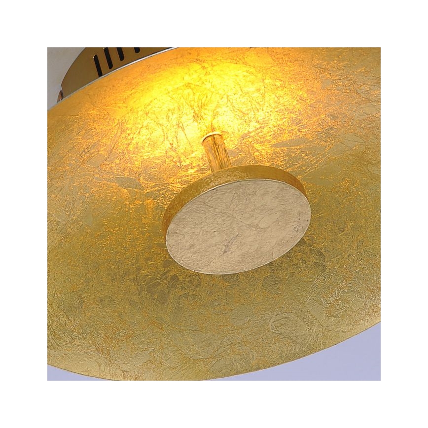 Paul Neuhaus 8132-12 - LED Reguliuojamas lubinis šviestuvas PLATE LED/25W/230V