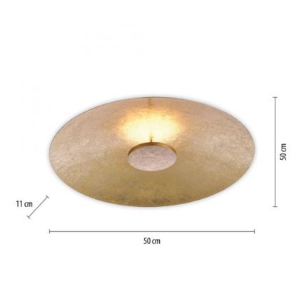 Paul Neuhaus 8132-12 - LED Reguliuojamas lubinis šviestuvas PLATE LED/25W/230V