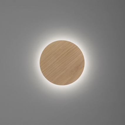 Paul Neuhaus 8152-79 - LED pritemdomas sieninis šviestuvas PUNTUA LED/1W/3,7V 2200 mAh + nuotolinio valdymo pultas