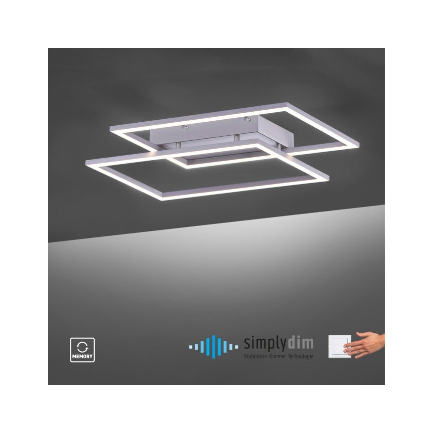 Paul Neuhaus 8192-55 - LED Pritemdomas tvirtinamas pakabinamas šviestuvas INIGO 2xLED/12W/230V