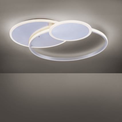 Paul Neuhaus 8318-55 - LED pritemdanti lubų lempa EMILIO LED / 53W / 230V + nuotolinio valdymo pultas