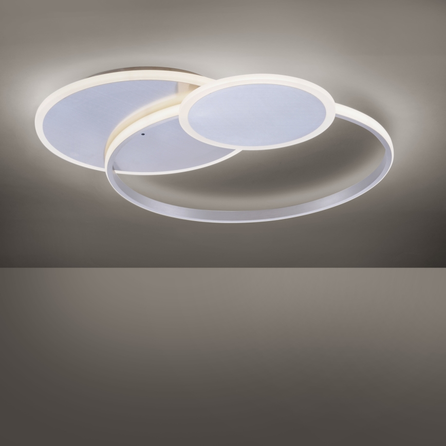 Paul Neuhaus 8318-55 - LED pritemdanti lubų lempa EMILIO LED / 53W / 230V + nuotolinio valdymo pultas