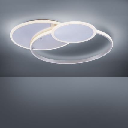 Paul Neuhaus 8318-55 - LED pritemdanti lubų lempa EMILIO LED / 53W / 230V + nuotolinio valdymo pultas