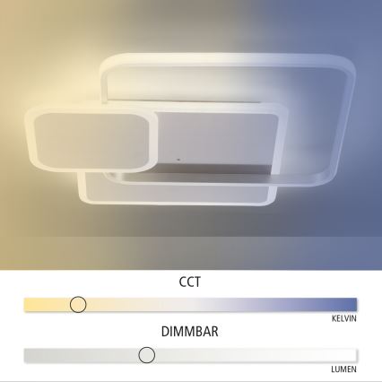 Paul Neuhaus 8319-55 - LED pritemdanti lubų lempa EMILIO LED / 53W / 230V + nuotolinio valdymo pultas