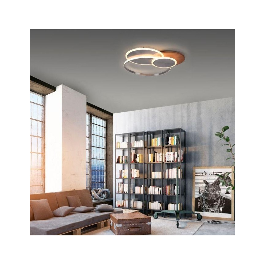 Paul Neuhaus 8328-79 - LED Pritemdomas lubinis šviestuvas PALMA LED/50W/230V 2700-5000K pušis + nuotolinio valdymo pultas