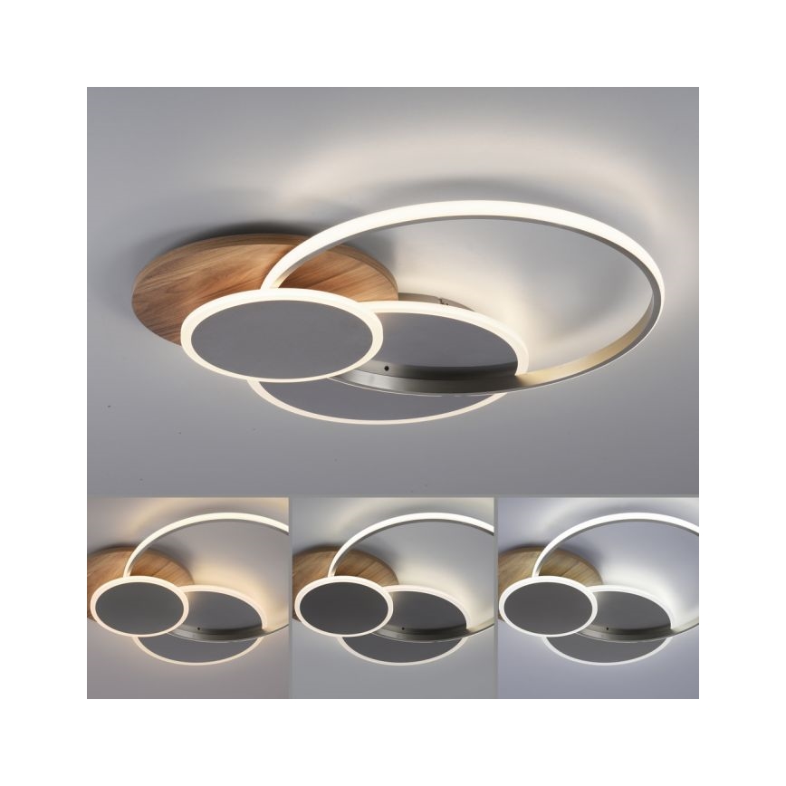 Paul Neuhaus 8328-79 - LED Pritemdomas lubinis šviestuvas PALMA LED/50W/230V 2700-5000K pušis + nuotolinio valdymo pultas
