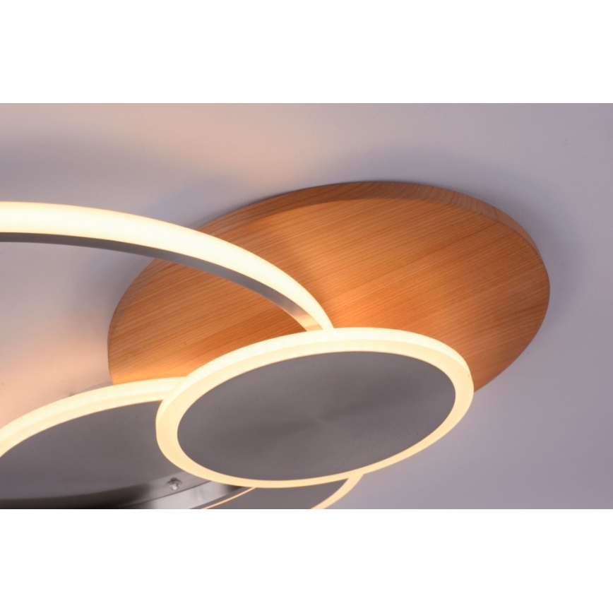 Paul Neuhaus 8328-79 - LED Pritemdomas lubinis šviestuvas PALMA LED/50W/230V 2700-5000K pušis + nuotolinio valdymo pultas