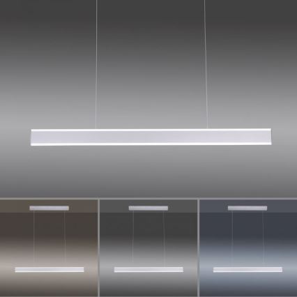 Paul Neuhaus 8363-55 - LED Reguliuojamas pakabinamas sietynas ARINA LED/20W/230V