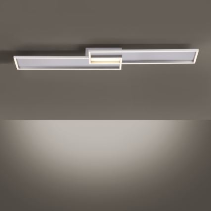 Paul Neuhaus 8371-55 - LED pritemdomas lubinis šviestuvas AMARA LED / 40W / 230V + Valdymo pultas