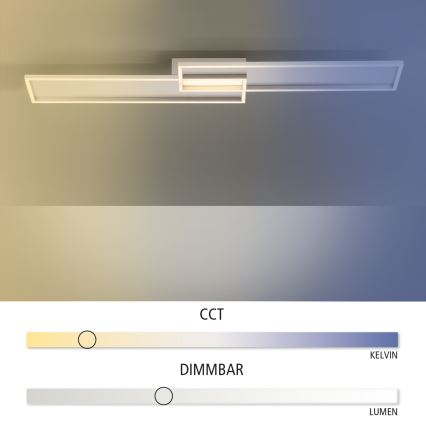 Paul Neuhaus 8371-55 - LED pritemdomas lubinis šviestuvas AMARA LED / 40W / 230V + Valdymo pultas