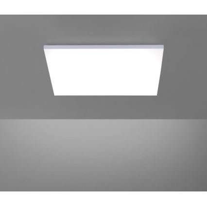 Paul Neuhaus 8492-16 - LED Reguliuojama ant pagrindo montuojama panelė FRAMELESS LED/35W/230V + valdymo pultas