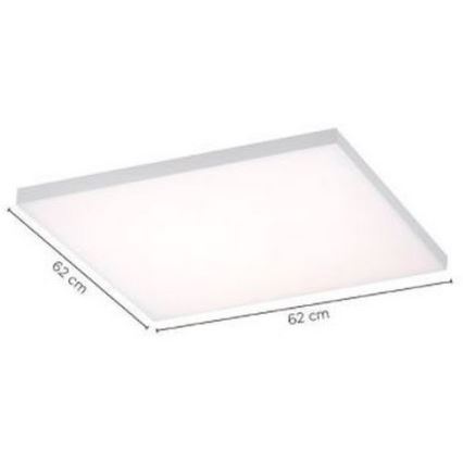 Paul Neuhaus 8492-16 - LED Reguliuojama ant pagrindo montuojama panelė FRAMELESS LED/35W/230V + valdymo pultas