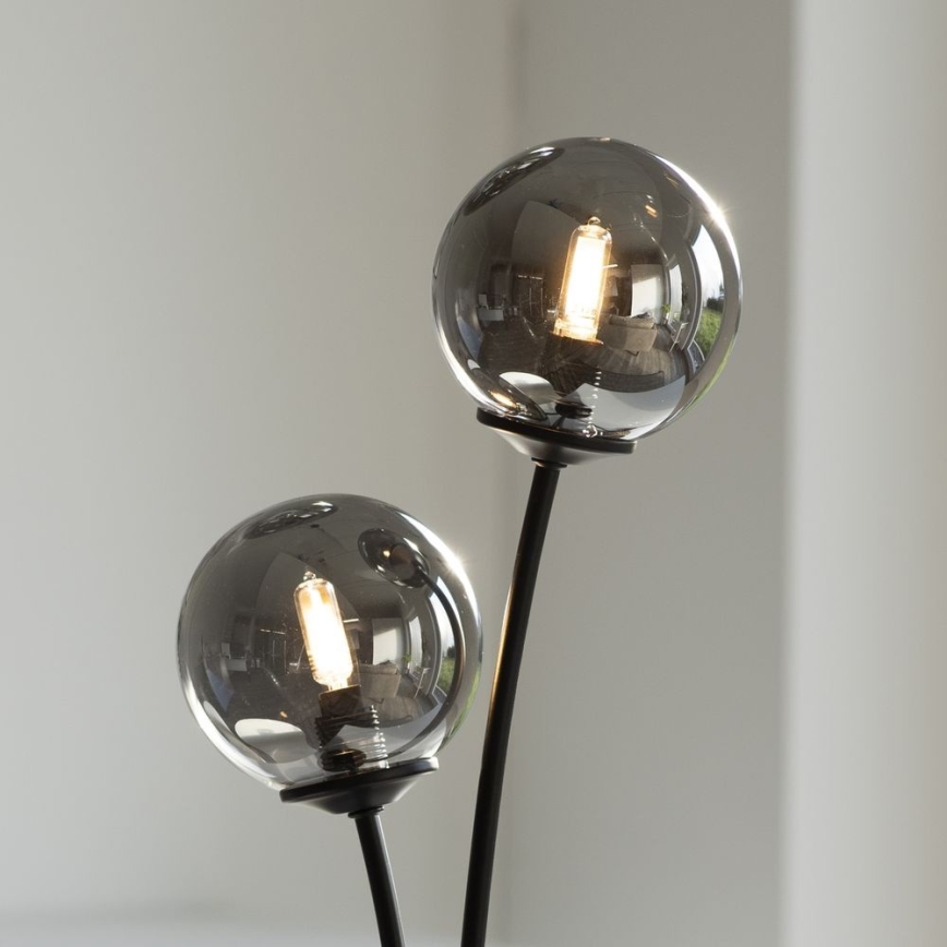 Paul Neuhaus 9014-18 - LED Sieninis šviestuvas WIDOW 2xG9/3W/230V