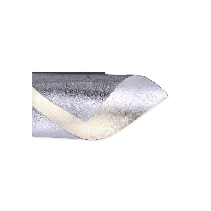 Paul Neuhaus 9030-21 - LED Sieninis šviestuvas NEVIS LED/6W/230V sidabras