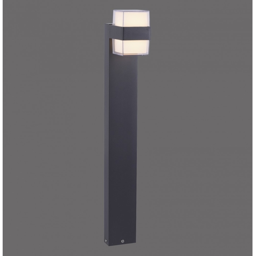 Paul Neuhaus 9481-13 - LED Lauko lempa CARA LED/8W/230V IP44