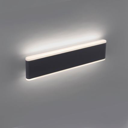 Paul Neuhaus 9484-13 - LED Reguliuojamas lauko sieninis šviestuvas ELSA 2xLED/9W/230V IP65