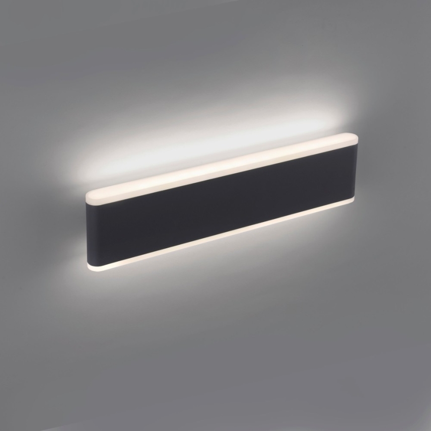 Paul Neuhaus 9484-13 - LED Reguliuojamas lauko sieninis šviestuvas ELSA 2xLED/9W/230V IP65