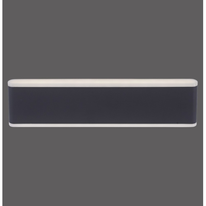 Paul Neuhaus 9484-13 - LED Reguliuojamas lauko sieninis šviestuvas ELSA 2xLED/9W/230V IP65