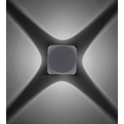 Paul Neuhaus 9485-21 - LED Sieninis lauko šviestuvas CARLO 4xLED/0,8W/230V IP54