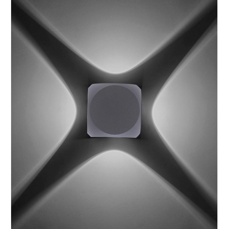 Paul Neuhaus 9485-21 - LED Sieninis lauko šviestuvas CARLO 4xLED/0,8W/230V IP54
